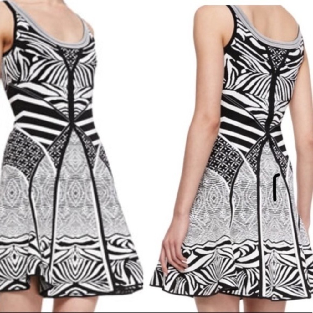 DVF Fanny Fit & Flare Dress Zebra Tattoo Sz Small